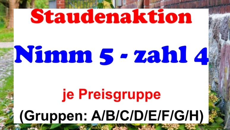 Staudenaktion - Nimm 5 - zahl 4