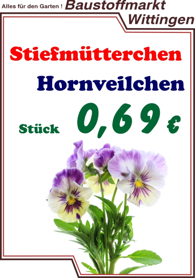 Stiefmütterchen und Hornveilchen